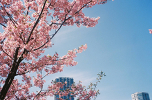 Load image into Gallery viewer, OLYMPUS μ Zoom140 VF【美品/希少✨】VF連動📸全自動フィルム🎞️38-140mmズーム