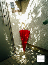 画像をギャラリービューアに読み込む, CASIO EXILIM EX-S2【完動品】【激レア❗️】▪️オールドコンデジ▪️デジタルカメラ