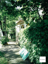 画像をギャラリービューアに読み込む, 【希少・完動品】CASIO EXILIM EX-M1 コカ・コーラ限定モデル|純正+新品バッテリー・SDカード付