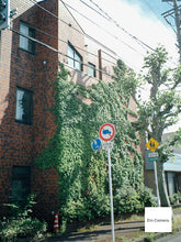 画像をギャラリービューアに読み込む, CASIO EXILIM EX-S2【完動品】【激レア❗️】▪️オールドコンデジ▪️デジタルカメラ