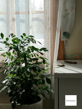 画像をギャラリービューアに読み込む, PENTAX Optio A30【完動品】▪️オールドコンデジ▪️デジタルカメラ