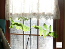 画像をギャラリービューアに読み込む, CASIO EX-ZR1100【希少❗️】【完動品】状態◎▪️オールドコンデジ▪️デジタルカメラ