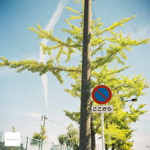 Load image into Gallery viewer, RICOHFLEX MODELVIIS【完動品】中判カメラ