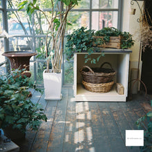 Load image into Gallery viewer, RICOHFLEX MODELVIIS【完動品】中判カメラ