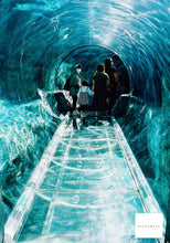 Load image into Gallery viewer, Canon AF35M【完動品】