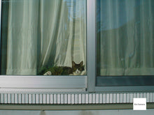 Load image into Gallery viewer, SONY Cyber-shot DSC-U20 CCD オールドコンデジ オレンジ🍊【希少❗️完動品】