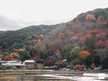 画像をギャラリービューアに読み込む, SONY DSC-T99D【完動品】▪️オールドコンデジ▪️デジタルカメラ