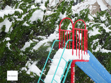 画像をギャラリービューアに読み込む, SONY DSC-W500【完動品】【希少❗️】【実写済み】CONTAXのような写り好きな方に❗️▪️オールドコンデジ▪️デジタルカメラ