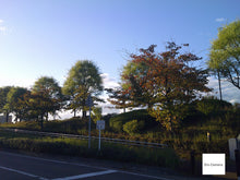 画像をギャラリービューアに読み込む, ROSEDECA DC301 ▪️デジタルカメラ▪️オールドコンデジ【完動品】【実写済み❗️】