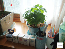 Load image into Gallery viewer, 🎍オールドコンデジ福袋 2026🎍 届いてすぐ使える全部入りセット|選べる2セット【1/3限定】