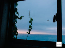 画像をギャラリービューアに読み込む, FUJIFILM FINEPIX JX【完動品】【実写済み❗️】▪️オールドコンデジ▪️デジタルカメラ