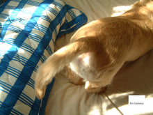 画像をギャラリービューアに読み込む, FUJIFILM FinePix 4700z【完動品】【希少✨】【未使用❗️】フルセット❗️▪️オールドコンデジ▪️デジタルカメラ