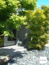 画像をギャラリービューアに読み込む, LEICA Digilux4.3【完動品】【美品❗️】【実写済み!】フルセット!▪️オールドコンデジ▪️デジタルカメラ