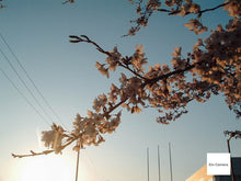 画像をギャラリービューアに読み込む, FUJIFILM FINEPIX A210【完動品】【実写済み❗️】▪️オールドコンデジ▪️デジタルカメラ