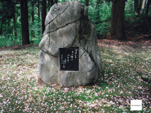 画像をギャラリービューアに読み込む, FUJIFILM FINEPIX Z300【完動品】【希少❗️】▪️オールドコンデジ▪️デジタルカメラ