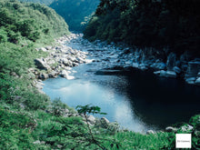 画像をギャラリービューアに読み込む, FUJIFILM FINEPIX Z300【完動品】【希少❗️】▪️オールドコンデジ▪️デジタルカメラ