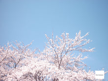 画像をギャラリービューアに読み込む, FUJIFILM FINEPIX JX180【完動品】▪️オールドコンデジ▪️デジタルカメラ