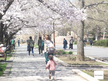 画像をギャラリービューアに読み込む, FUJIFILM FINEPIX JX180【完動品】▪️オールドコンデジ▪️デジタルカメラ