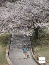 画像をギャラリービューアに読み込む, FUJIFILM FINEPIX JX180【完動品】▪️オールドコンデジ▪️デジタルカメラ