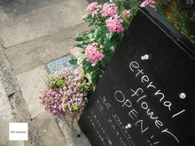 画像をギャラリービューアに読み込む, FUJIFILM FINEPIX XP50【完動品】【実写済み❗️】【防塵防滴・水陸両用カメラ】▪️オールドコンデジ▪️デジタルカメラ