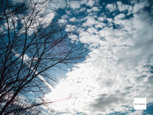 画像をギャラリービューアに読み込む, FUJIFILM Fine Pix Z300【完動品】