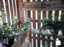 画像をギャラリービューアに読み込む, FUJIFILM Finepix AX550【未使用品/完動品 】単三電池🔋SDカード対応!CCDセンサー❗️1600万画素 オールドコンデジ