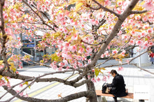 画像をギャラリービューアに読み込む, FUJIFILM X-20【完動品】▪️オールドコンデジ▪️デジタルカメラ