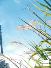 画像をギャラリービューアに読み込む, FUJIFILM X10【完動品】【豪華付属品セット❗️】状態◎▪️オールドコンデジ▪️デジタルカメラ