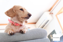 Load image into Gallery viewer, FUJIFILM X-A2 16-50mmF3.5-5.6【完動品】【実写済み❗️】フルセット!状態◎