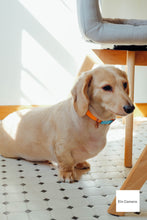 Load image into Gallery viewer, FUJIFILM X-A2 16-50mmF3.5-5.6【完動品】【実写済み❗️】フルセット!状態◎