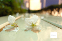 画像をギャラリービューアに読み込む, FUJIFILM X-20【完動品】▪️オールドコンデジ▪️デジタルカメラ