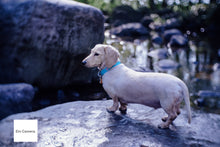 画像をギャラリービューアに読み込む, GIZMON Bokeh Lens 35mmF1.6 Cマウント【美品❗️】【実写済み❗️】FUJIミラーレス機にも!