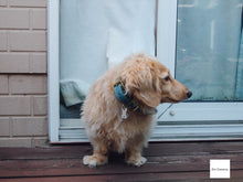 画像をギャラリービューアに読み込む, FUJIFILM Fine Pix A610【完動品】【完動品】【実写済み❗️】▪️オールドコンデジ▪️デジタルカメラ