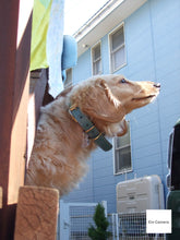 画像をギャラリービューアに読み込む, FUJIFILM Fine Pix A610【完動品】【完動品】【実写済み❗️】▪️オールドコンデジ▪️デジタルカメラ