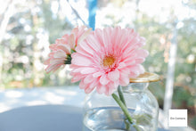 画像をギャラリービューアに読み込む, FUJIFILM XF10(GD)【美品✨】【完動品】【実写済み❗️】▪️オールドコンデジ▪️デジタルカメラ