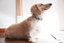 画像をギャラリービューアに読み込む, FUJIFILM XF10(GD)【美品✨】【完動品】【実写済み❗️】▪️オールドコンデジ▪️デジタルカメラ