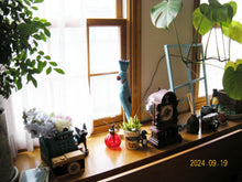 画像をギャラリービューアに読み込む, NIKON COOLPIX S60 レディッシュブラウンカラー【完動品】【美品❗️】▪️オールドコンデジ▪️デジタルカメラ