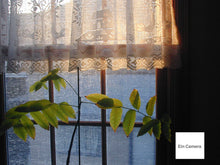 画像をギャラリービューアに読み込む, Nikon Coolpix800【完動品】【実写済み❗️】▪️90'sオールドコンデジ▪️デジタルカメラ