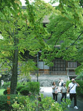 画像をギャラリービューアに読み込む, NIKON COOLPIX S60 レディッシュブラウンカラー【完動品】【美品❗️】▪️オールドコンデジ▪️デジタルカメラ