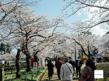 画像をギャラリービューアに読み込む, Nikon Coolpix P5000【完動品】【美品✨】▪️オールドコンデジ▪️デジタルカメラ