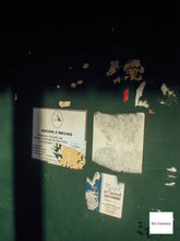 画像をギャラリービューアに読み込む, Nikon Coolpix800【完動品】【実写済み❗️】▪️90'sオールドコンデジ▪️デジタルカメラ