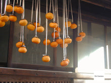 画像をギャラリービューアに読み込む, Nikon Coolpix800【完動品】【実写済み❗️】▪️90'sオールドコンデジ▪️デジタルカメラ