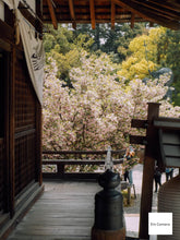 画像をギャラリービューアに読み込む, Nikon Coolpix W100 防水カメラ/マリン🏖️🐠【完動品】▪️オールドコンデジ▪️デジタルカメラ