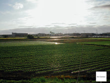 画像をギャラリービューアに読み込む, Nikon Coolpix4500【完動品】【実写済み❗️】▪️オールドコンデジ▪️デジタルカメラ