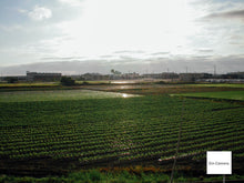 Load image into Gallery viewer, Nikon Coolpix S6600 ラズベリーレッド【完動品】▪️オールドコンデジ▪️デジタルカメラ