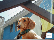 画像をギャラリービューアに読み込む, Nikon Coolpix L21【完動品】【美品❗️】▪️オールドコンデジ▪️デジタルカメラ