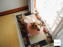 Load image into Gallery viewer, Nikon Coolpix S6600 ラズベリーレッド【完動品】▪️オールドコンデジ▪️デジタルカメラ