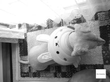 画像をギャラリービューアに読み込む, Nikon Coolpix S8100【完動品】【実写済み❗️】状態◎▪️オールドコンデジ▪️デジタルカメラ