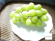 画像をギャラリービューアに読み込む, Nikon Coolpix L21【完動品】【美品❗️】▪️オールドコンデジ▪️デジタルカメラ