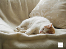 画像をギャラリービューアに読み込む, Nikon Coolpix P7100【完動品】【実写済み❗️】状態◎▪️オールドコンデジ▪️デジタルカメラ